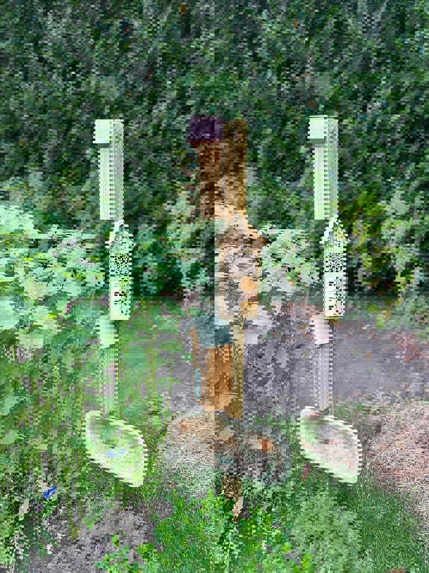 Insectenhuis Valeriusstraat